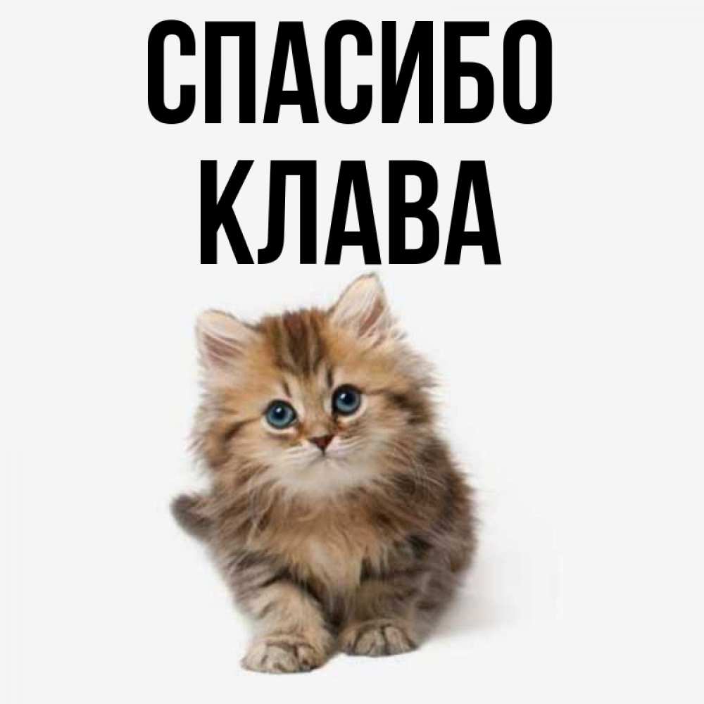 Клава имя