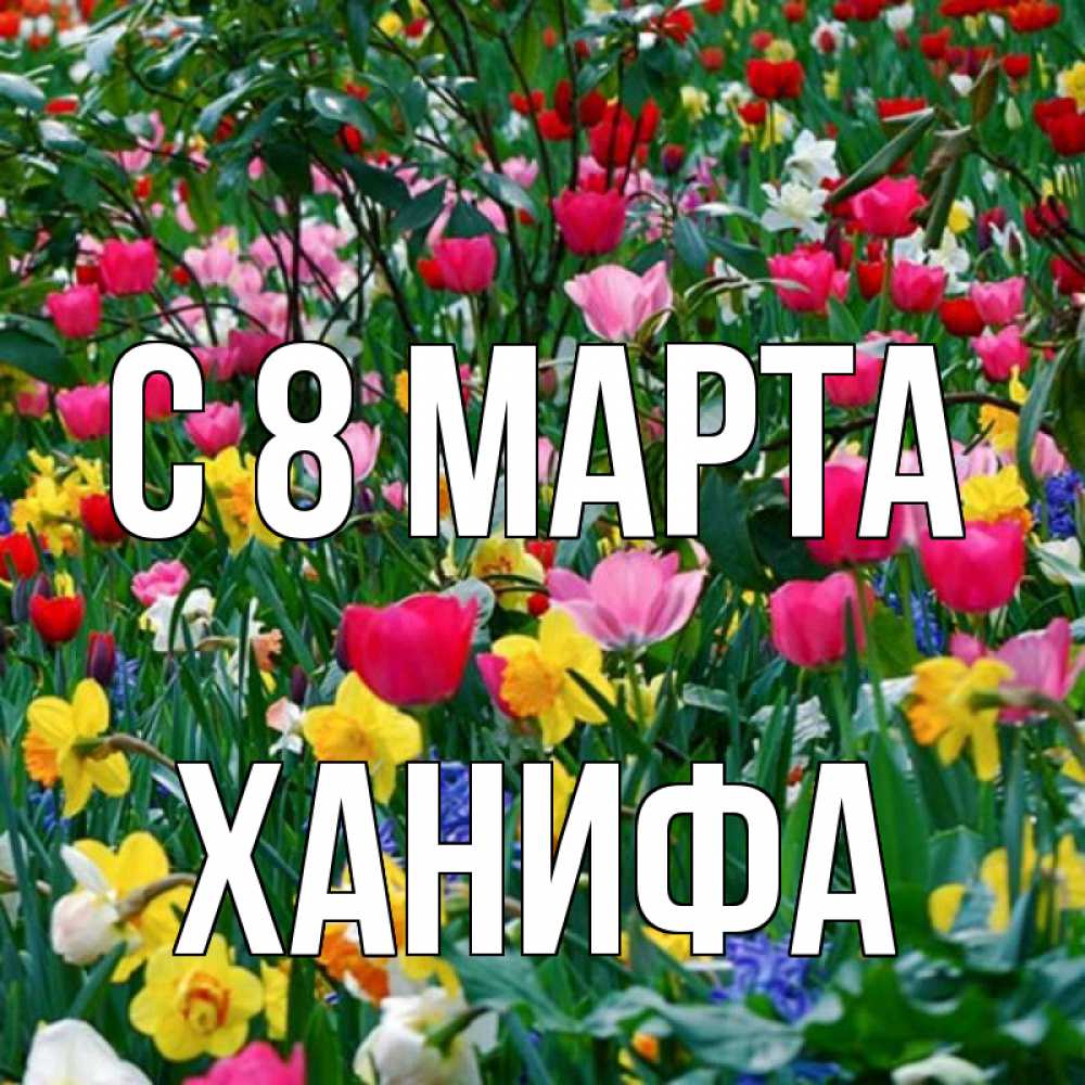 Открытка с именем, Ханифа, С 8 марта