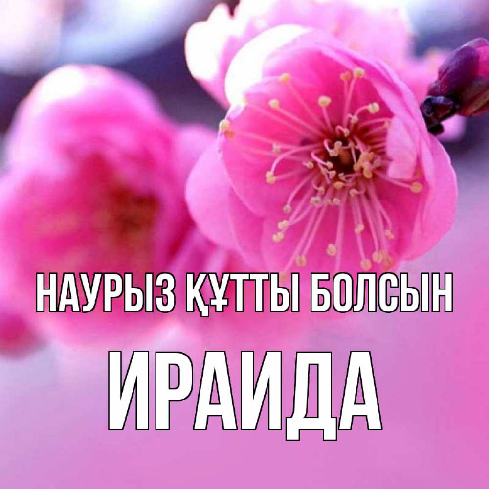 Открытка на каждый день с именем, Ираида Наурыз құтты болсын наурыз мейрам Прикольная открытка с пожеланием онлайн скачать бесплатно 