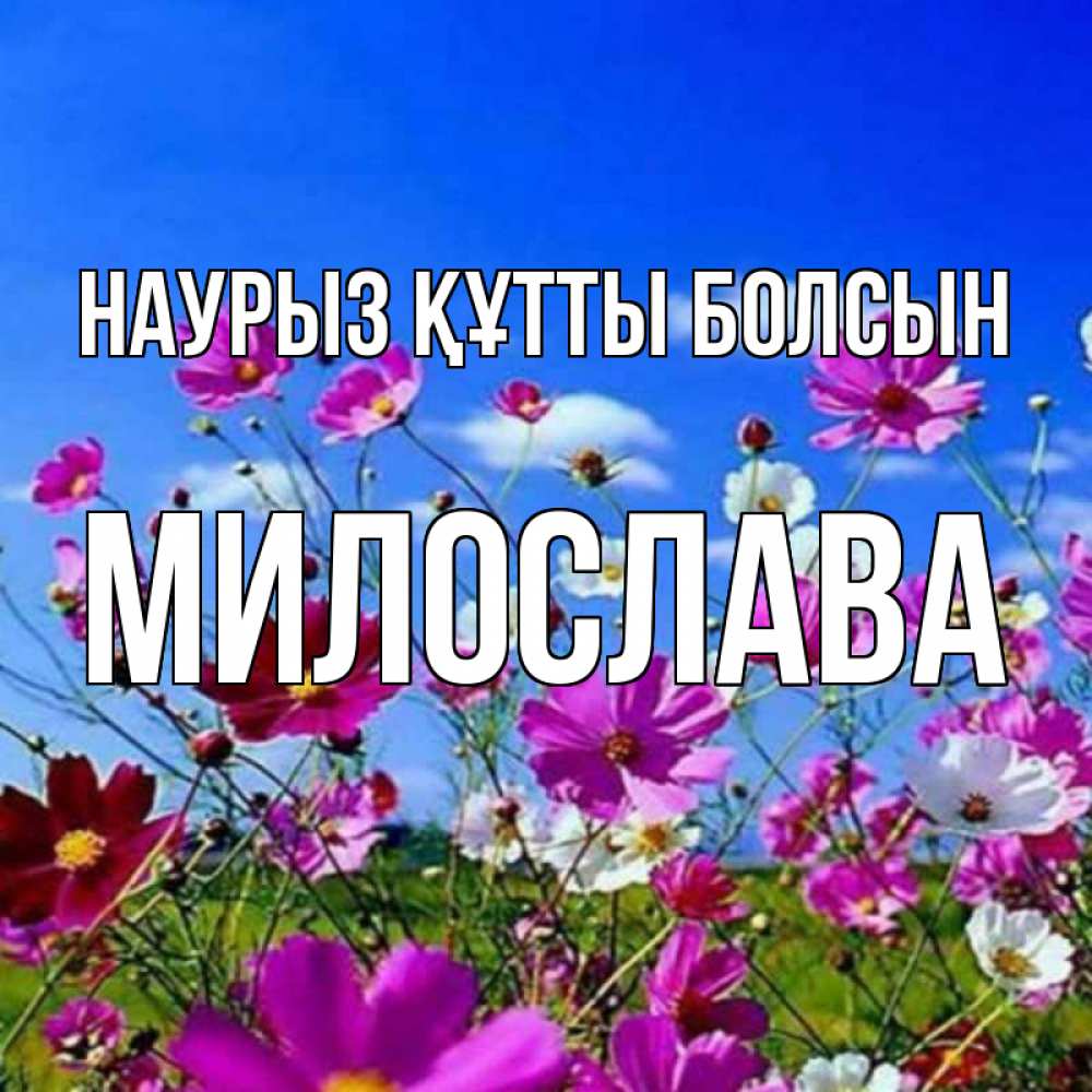 Открытка на каждый день с именем, Милослава Наурыз құтты болсын цветы Прикольная открытка с пожеланием онлайн скачать бесплатно 