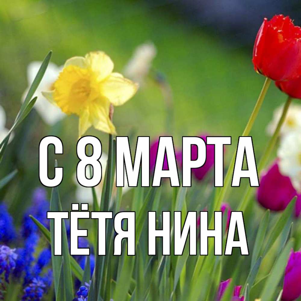Открытка на каждый день с именем, Тётя-Нина С 8 марта международный женский день 3 Прикольная открытка с пожеланием онлайн скачать бесплатно 