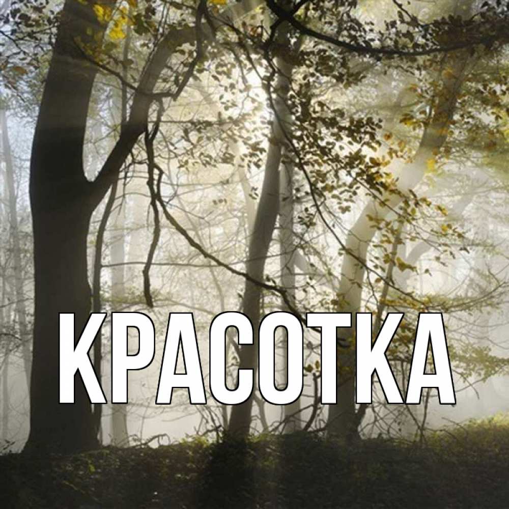 Открытка на каждый день с именем, красотка Главная грустно Прикольная открытка с пожеланием онлайн скачать бесплатно 