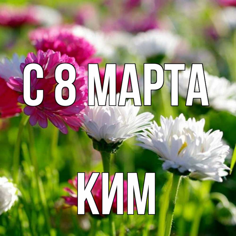Открытка на каждый день с именем, Ким С 8 марта международный женский день 1 Прикольная открытка с пожеланием онлайн скачать бесплатно 