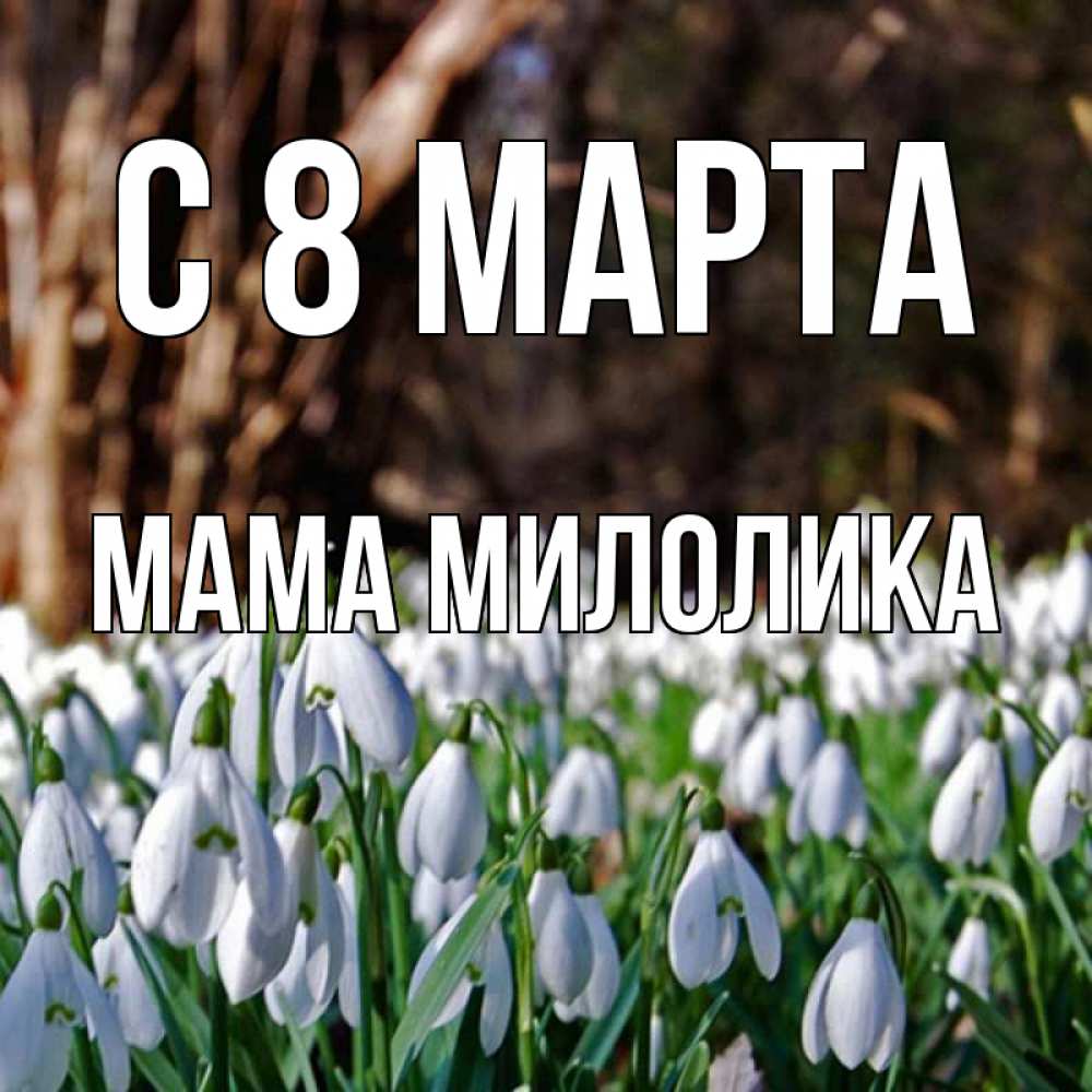 Открытка на каждый день с именем, Мама-Милолика С 8 МАРТА с подснежниками 1 Прикольная открытка с пожеланием онлайн скачать бесплатно 