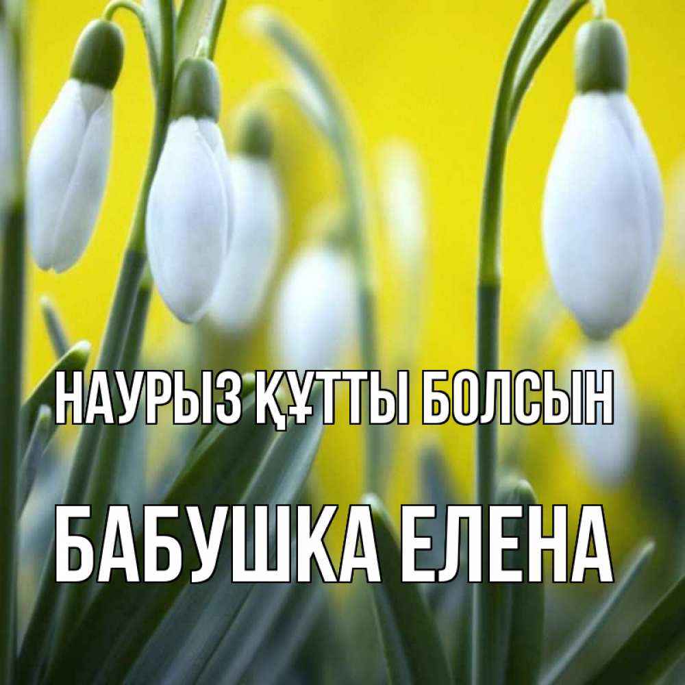 Открытка на каждый день с именем, Бабушка-Елена Наурыз құтты болсын весенние цветы Прикольная открытка с пожеланием онлайн скачать бесплатно 