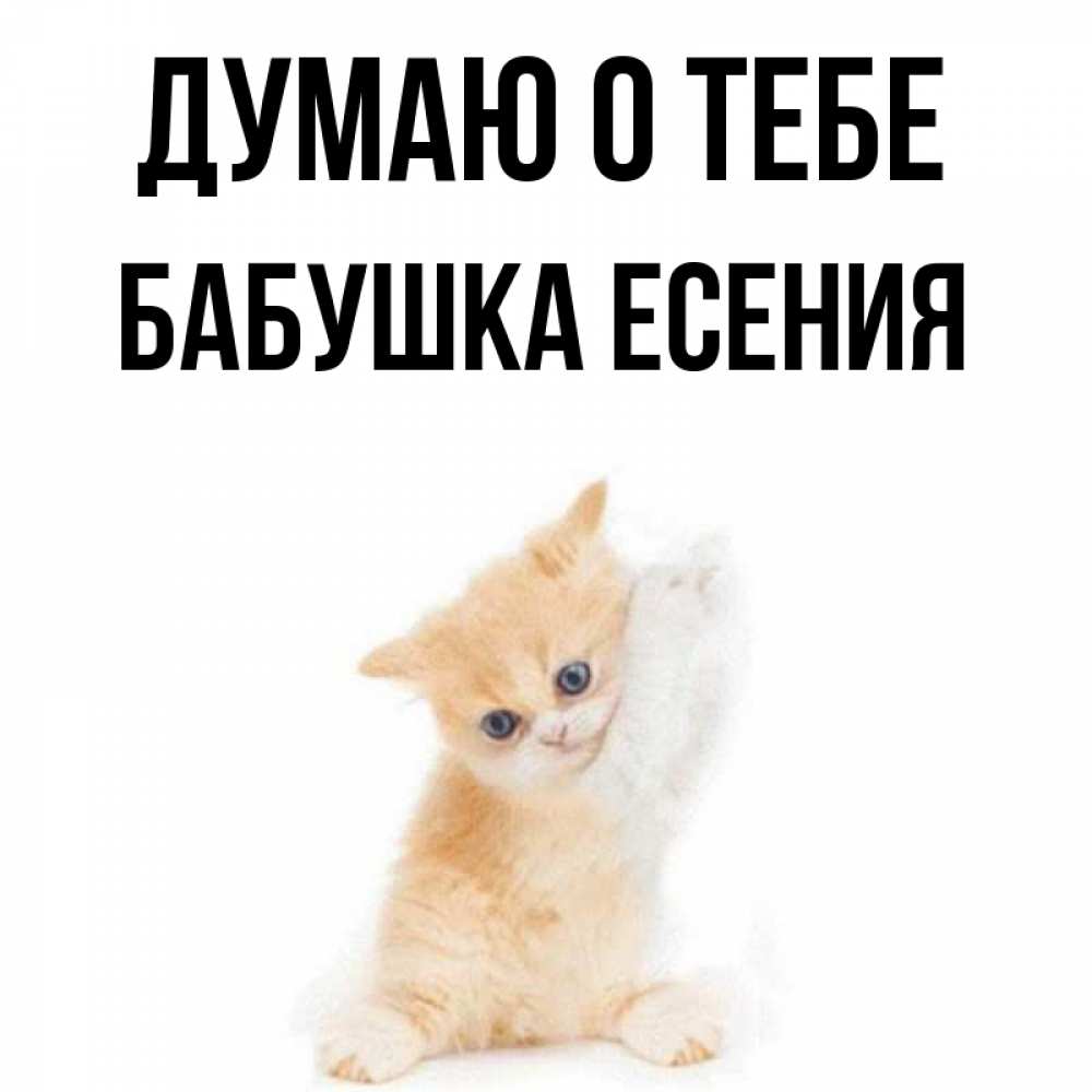 Открытка на каждый день с именем, Бабушка-Есения Думаю о тебе зверушки и милота Прикольная открытка с пожеланием онлайн скачать бесплатно 