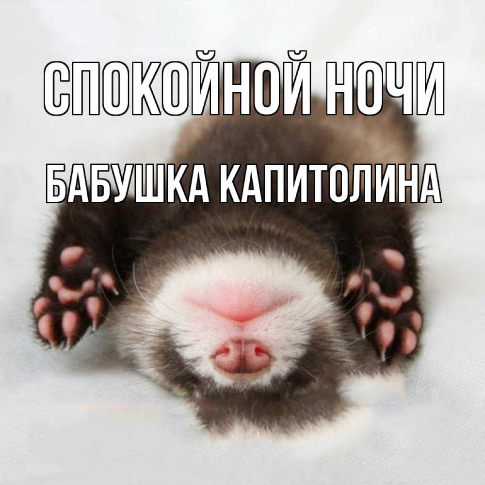 Открытка на каждый день с именем, Бабушка-Капитолина Спокойной ночи зверек Прикольная открытка с пожеланием онлайн скачать бесплатно 