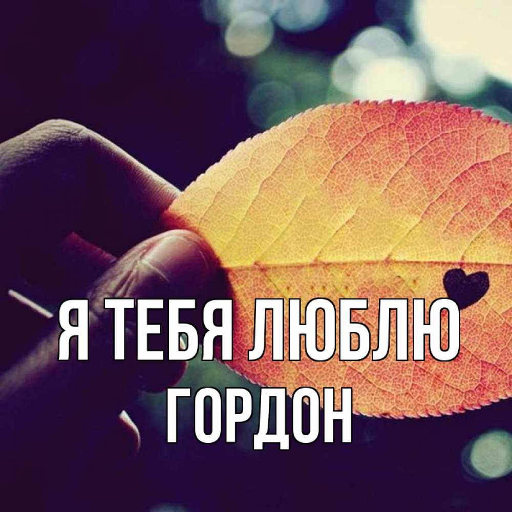 Открытка на каждый день с именем, Гордон Я тебя люблю держу лист Прикольная открытка с пожеланием онлайн скачать бесплатно 