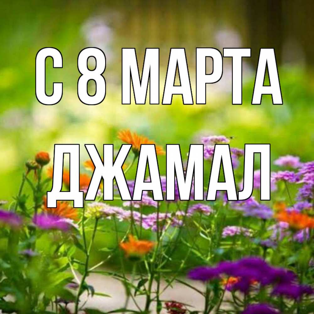 Открытка на каждый день с именем, Джамал С 8 МАРТА цветы Прикольная открытка с пожеланием онлайн скачать бесплатно 