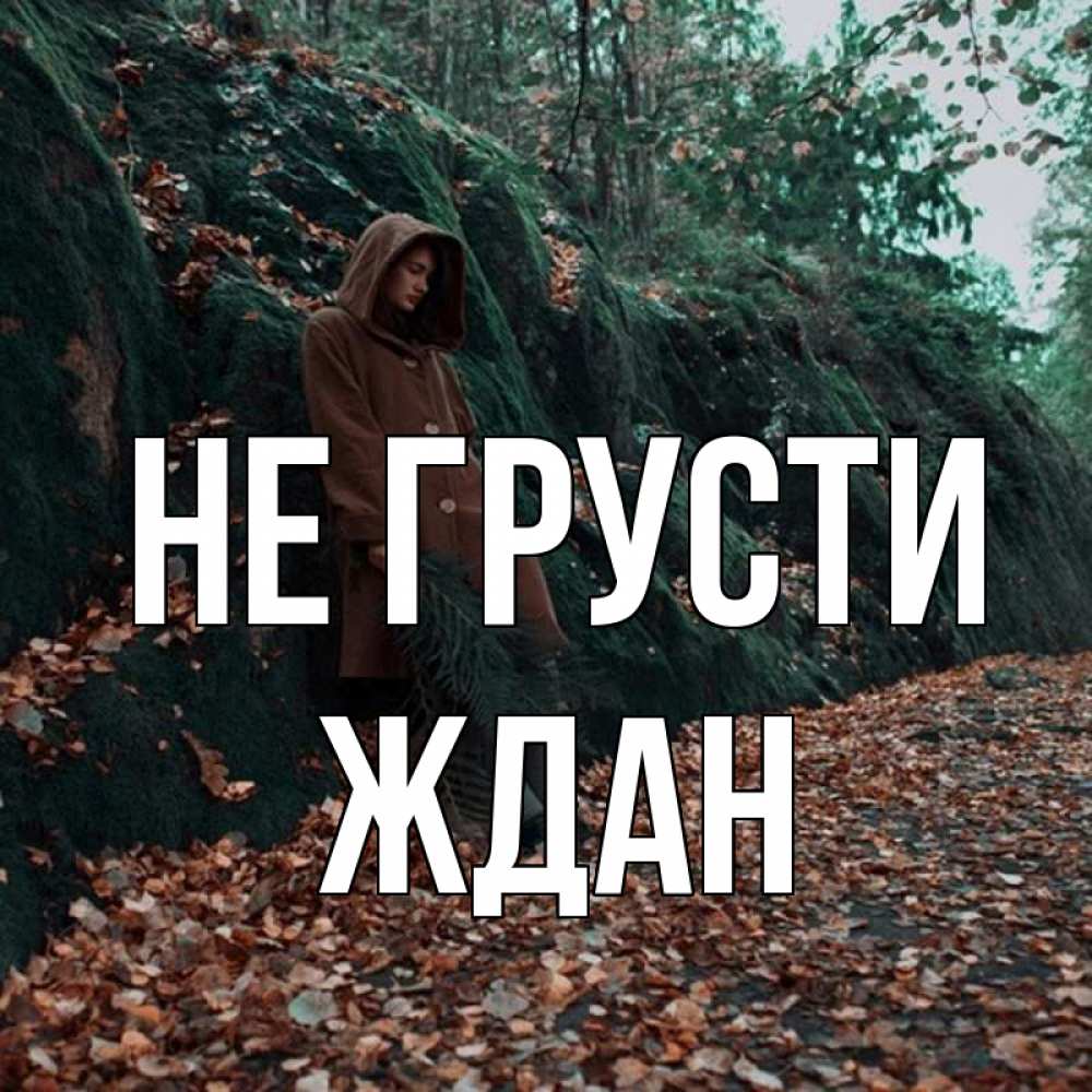 Открытка на каждый день с именем, Ждан Не грусти осенний лес Прикольная открытка с пожеланием онлайн скачать бесплатно 