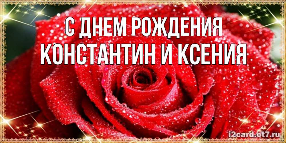 Открытка на каждый день с именем, Константин-и-Ксения С днем рождения роса и роза. открытка с красивой розой Прикольная открытка с пожеланием онлайн скачать бесплатно 