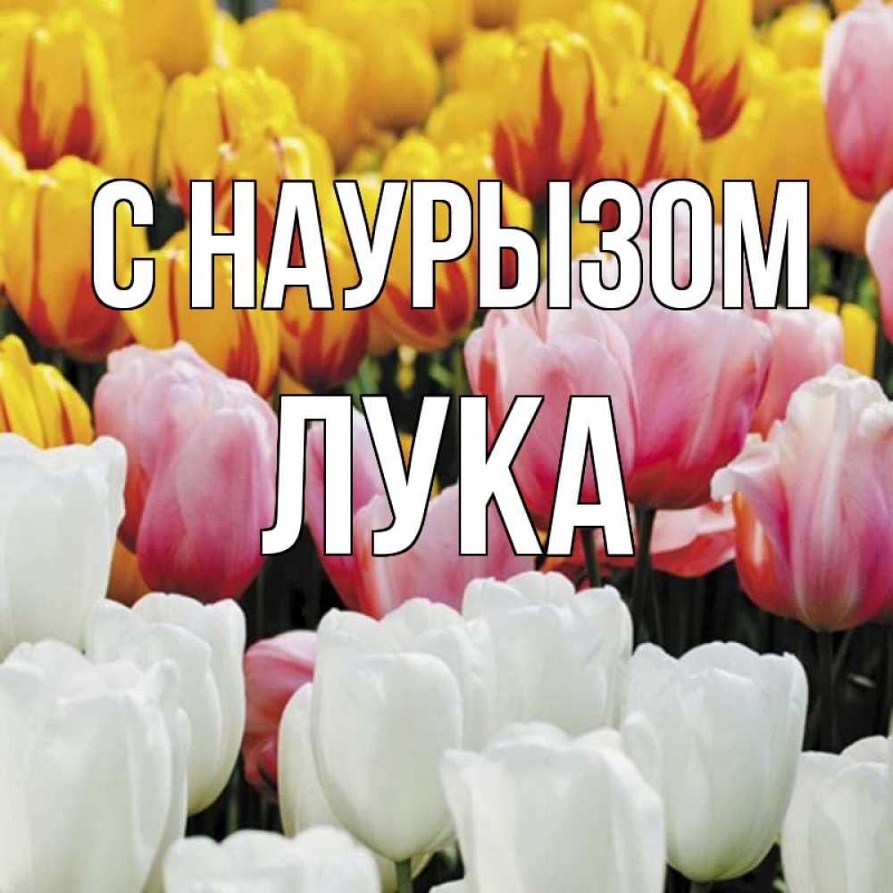 Открытка на каждый день с именем, Лука С наурызом разноцветные цветы Прикольная открытка с пожеланием онлайн скачать бесплатно 