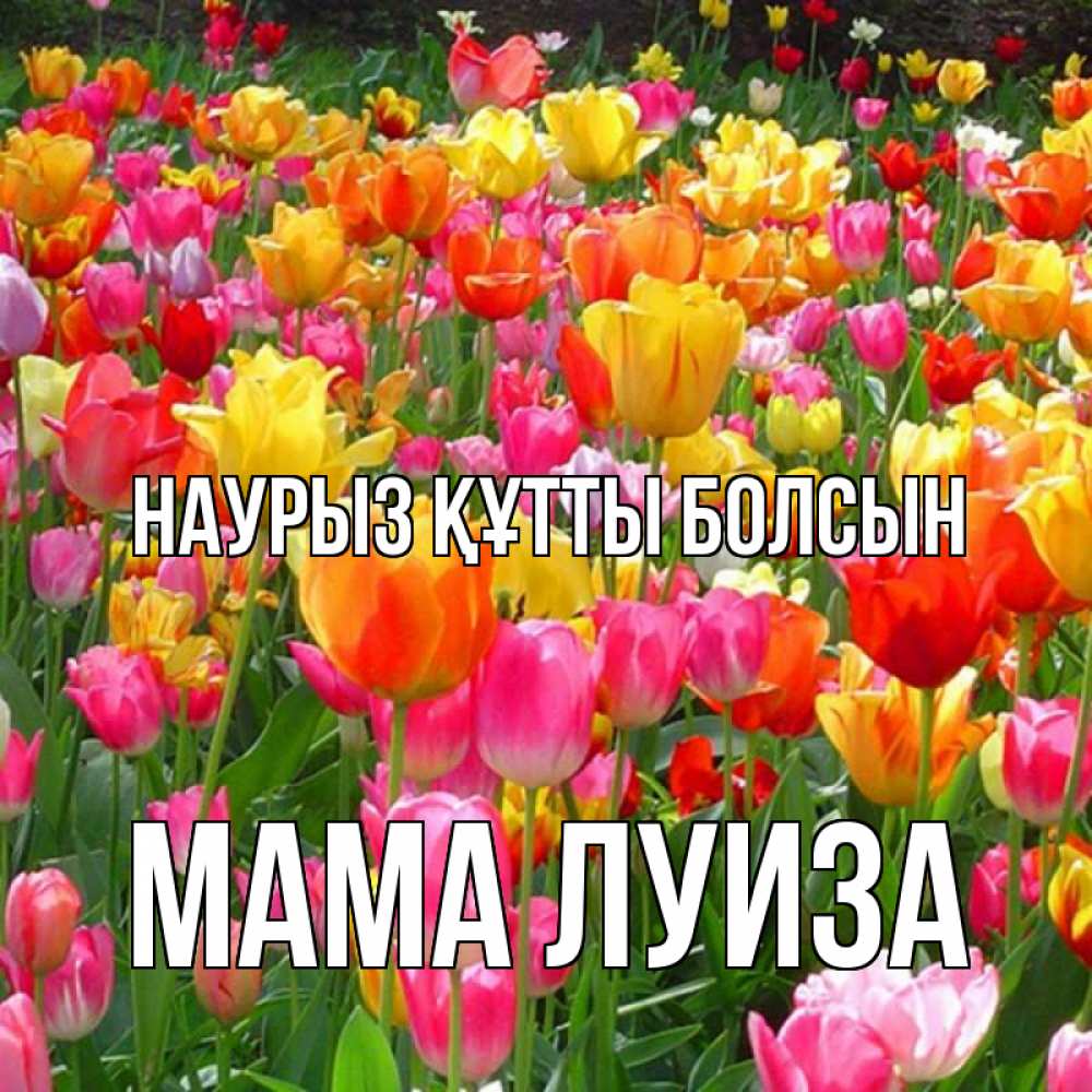 Открытка на каждый день с именем, Мама-Луиза Наурыз құтты болсын на наурыз  ура ура Прикольная открытка с пожеланием онлайн скачать бесплатно 