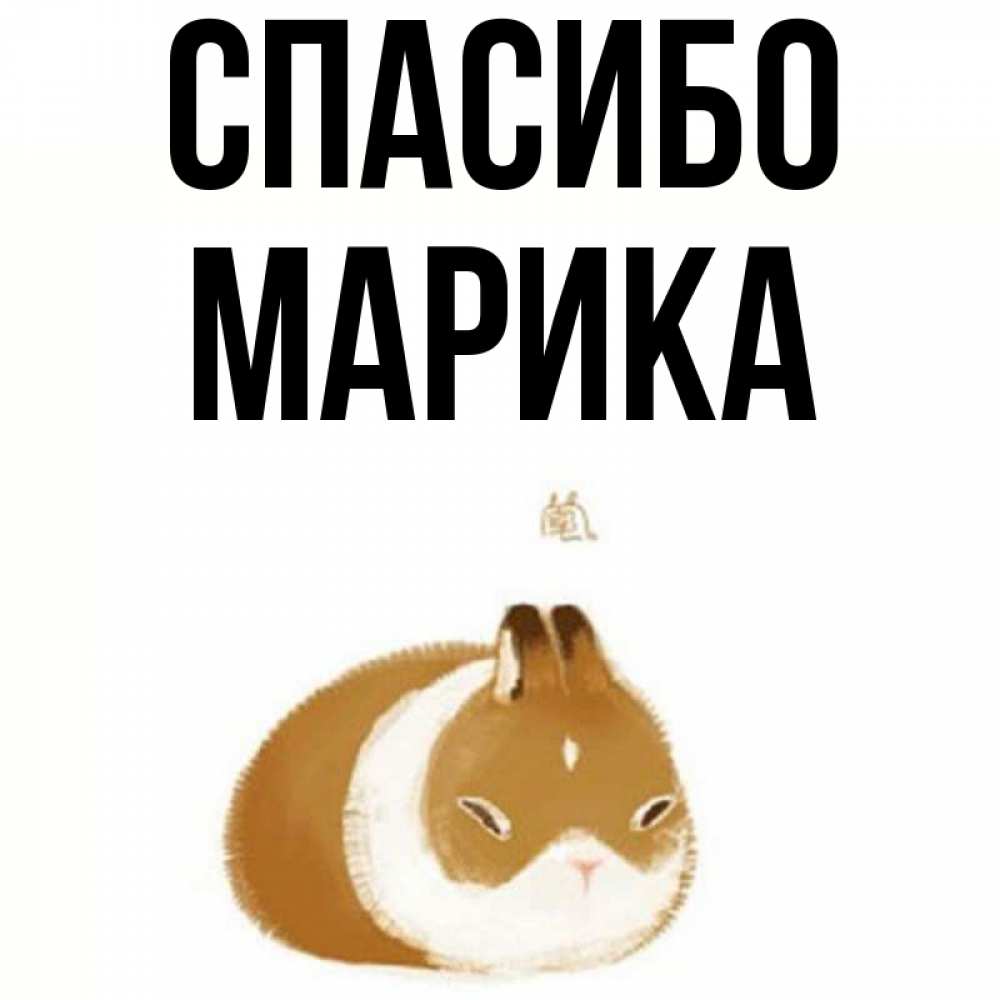 Открытка на каждый день с именем, Марика Спасибо коричнево белый домашний питомец Прикольная открытка с пожеланием онлайн скачать бесплатно 