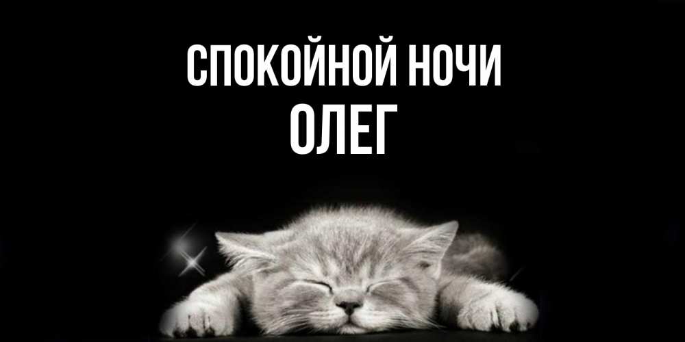 Открытка на каждый день с именем, Олег Спокойной ночи спящий котик Прикольная открытка с пожеланием онлайн скачать бесплатно 