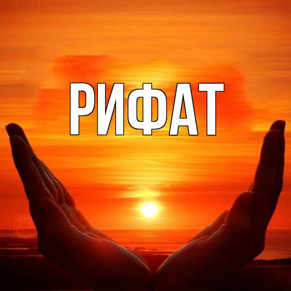 Открытка на каждый день с именем, Рифат Главная в руках Прикольная открытка с пожеланием онлайн скачать бесплатно 