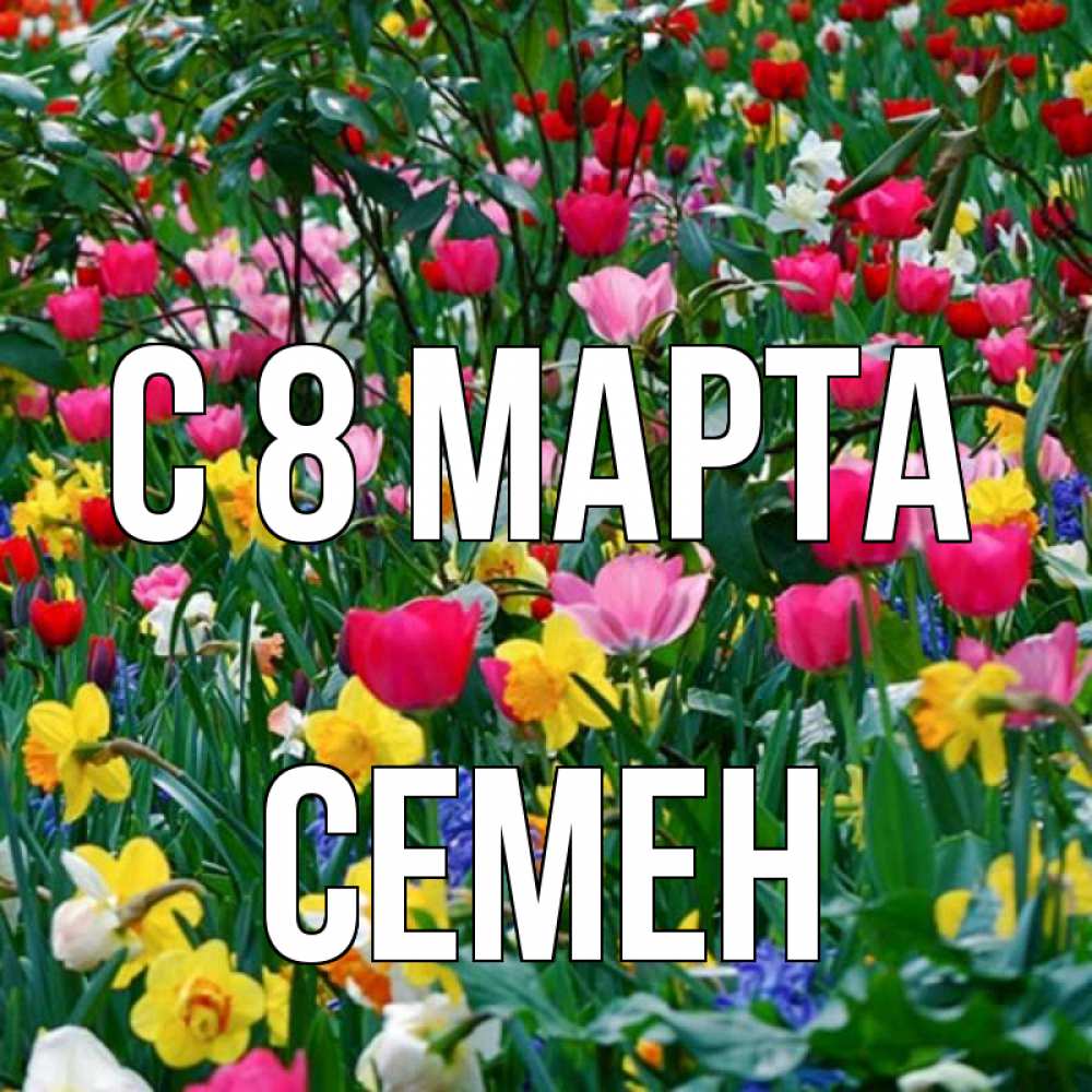Открытка на каждый день с именем, Семен С 8 МАРТА с международным женским днем поздравления для женщины Прикольная открытка с пожеланием онлайн скачать бесплатно 
