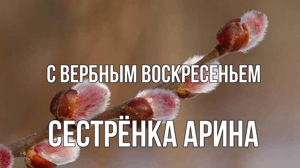 Открытка на каждый день с именем, Сестрёнка-Арина С вербным воскресеньем верба Прикольная открытка с пожеланием онлайн скачать бесплатно 
