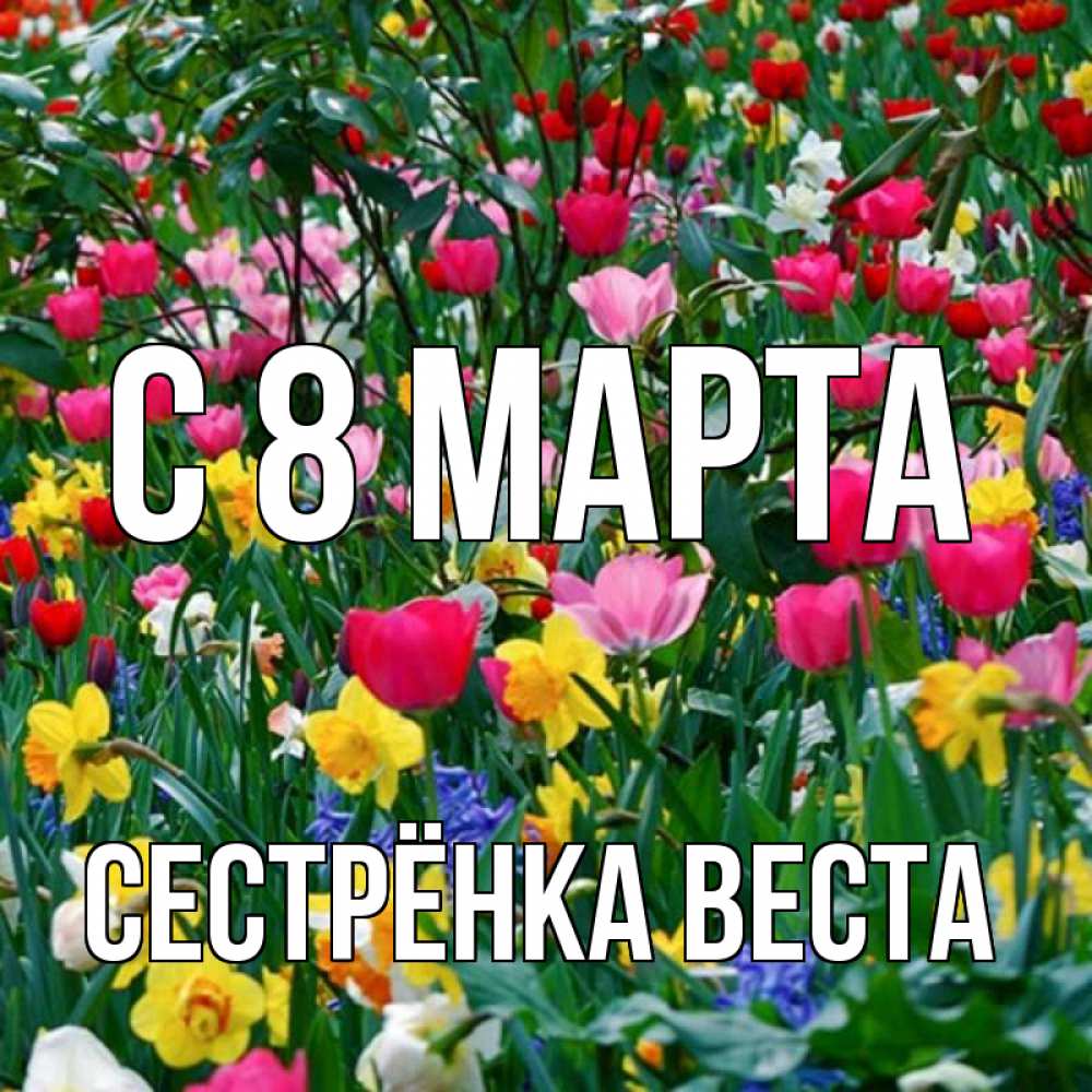 Открытка на каждый день с именем, Сестрёнка-Веста С 8 марта с международным женским днем поздравления для женщины Прикольная открытка с пожеланием онлайн скачать бесплатно 