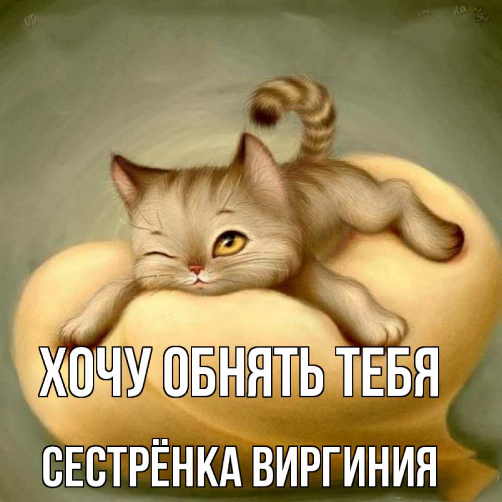 Открытка на каждый день с именем, Сестрёнка-Виргиния Хочу обнять тебя кошечка Прикольная открытка с пожеланием онлайн скачать бесплатно 