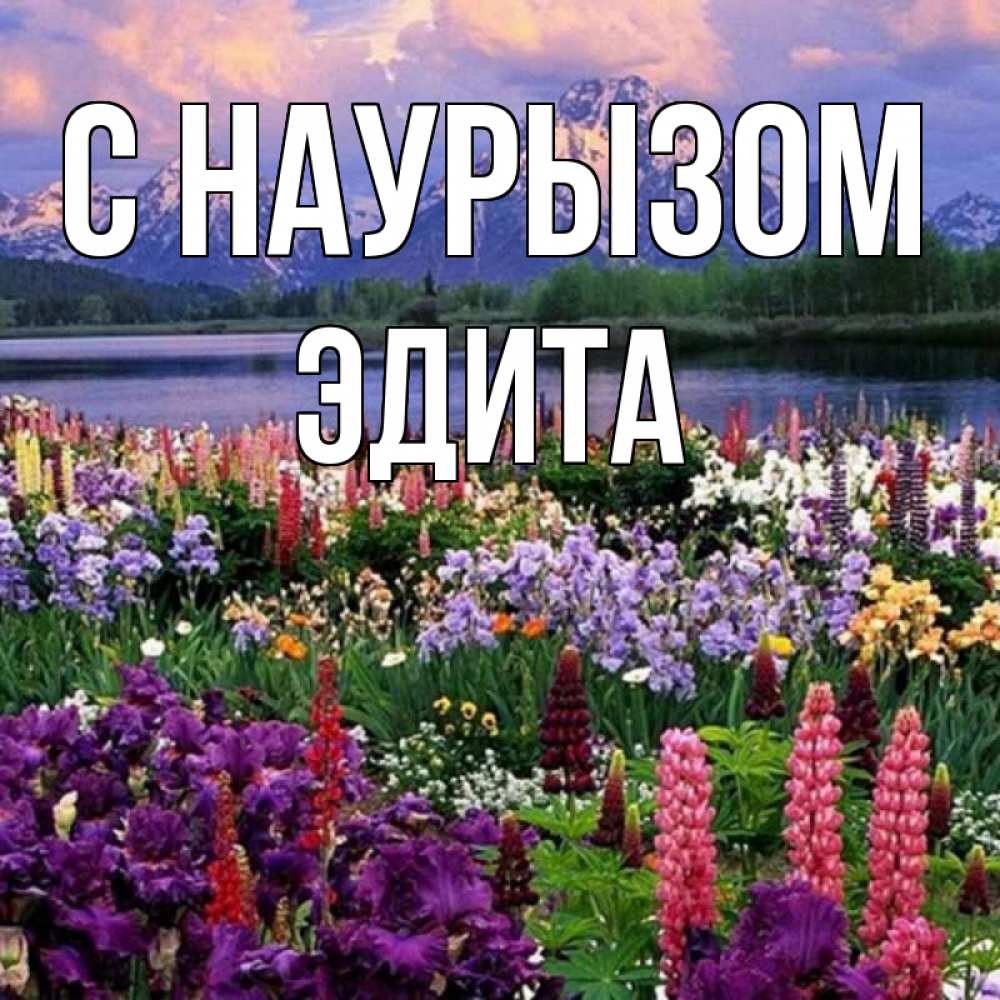 Открытка на каждый день с именем, Эдита С наурызом праздник весны наурыз Прикольная открытка с пожеланием онлайн скачать бесплатно 