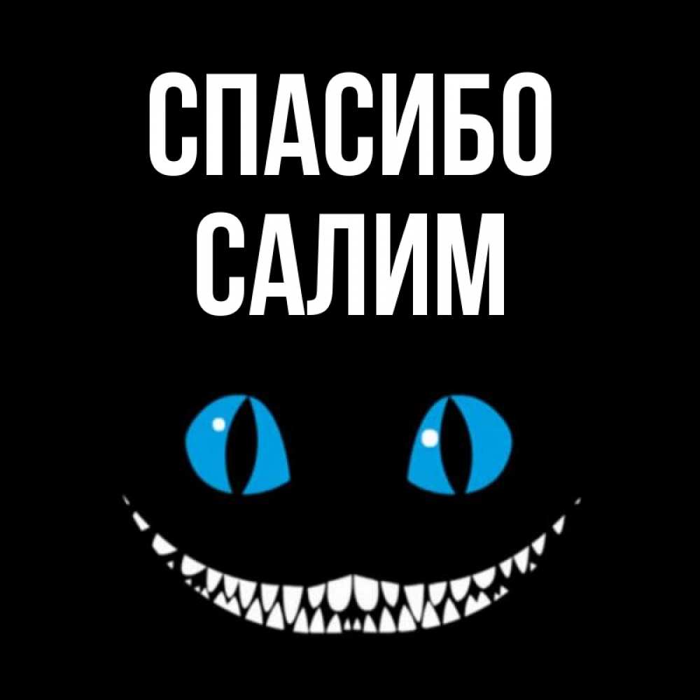 Что означает имя салим. Аватарка Салим. Салим имя. С днем рождения Салим картинки. Спасибо Салима.