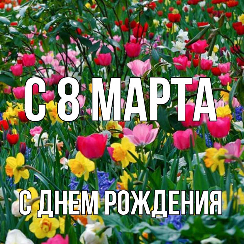 Открытка на каждый день с именем, С-днем-рождения С 8 МАРТА с международным женским днем поздравления для женщины Прикольная открытка с пожеланием онлайн скачать бесплатно 
