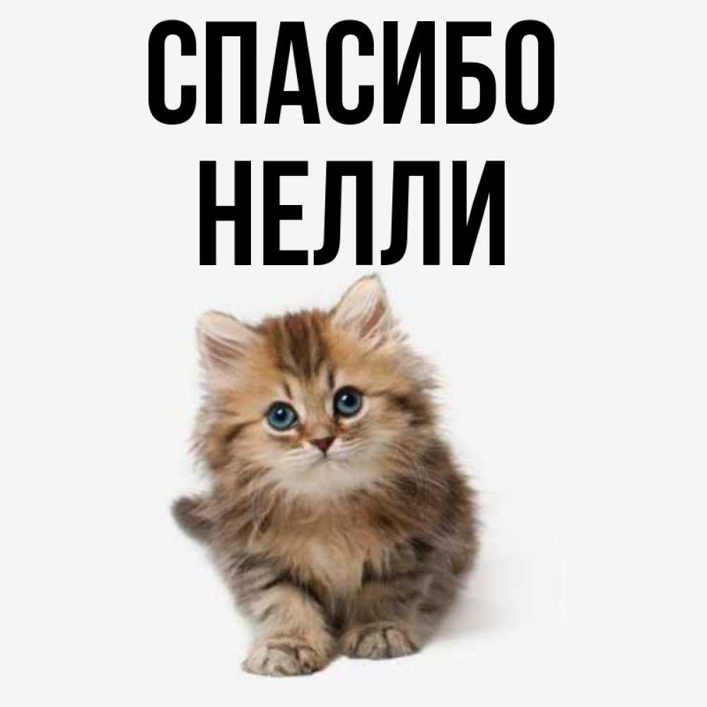 Картинки с именем неля