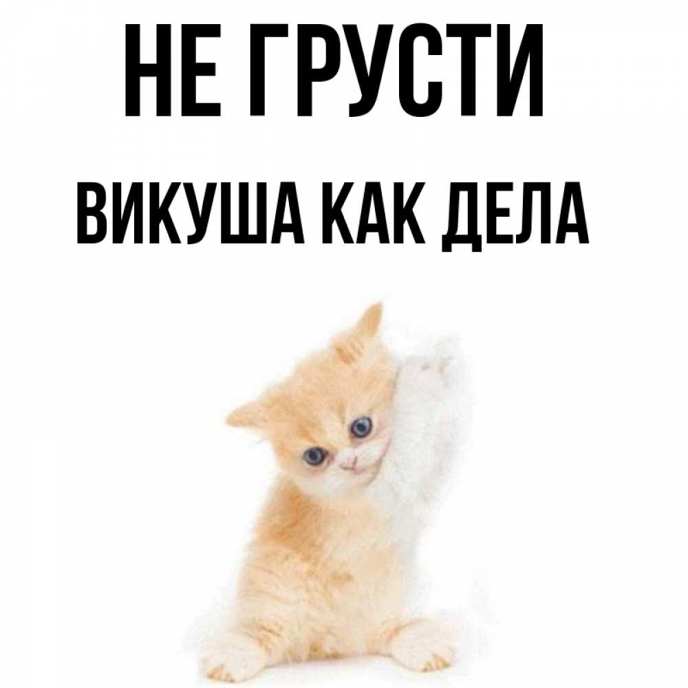 Как дела милая
