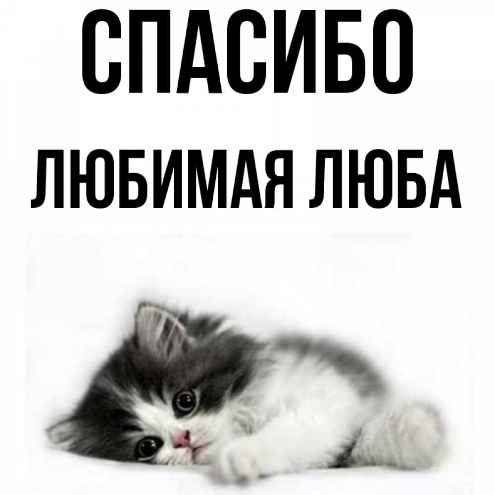 Спасибо люба картинки