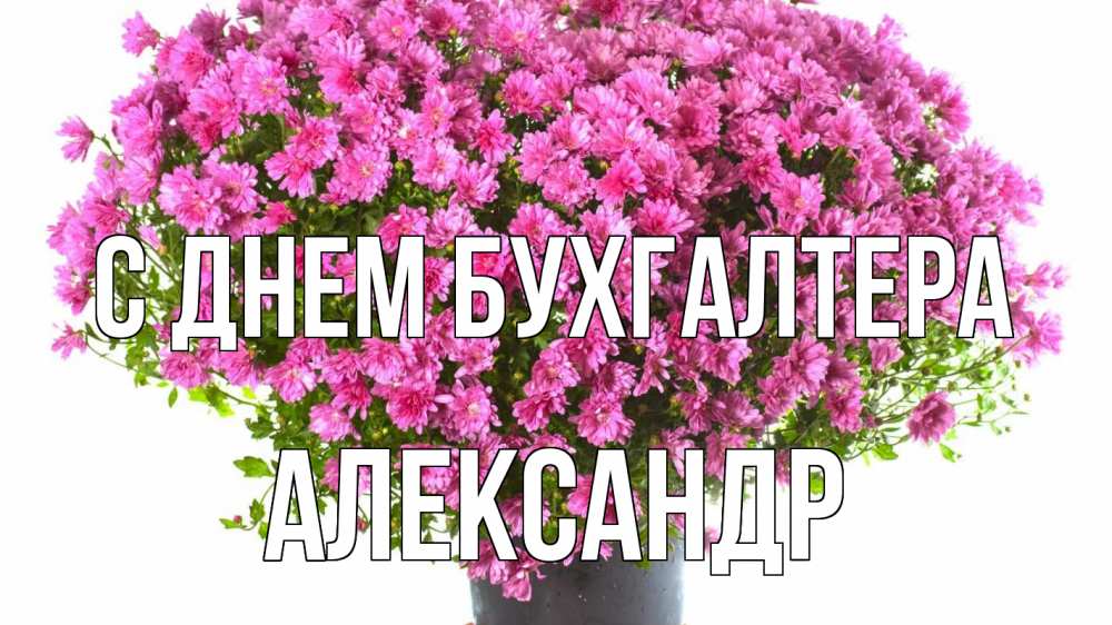Открытка на каждый день с именем, Александр С днем бухгалтера с днем бухгалтера Прикольная открытка с пожеланием онлайн скачать бесплатно 