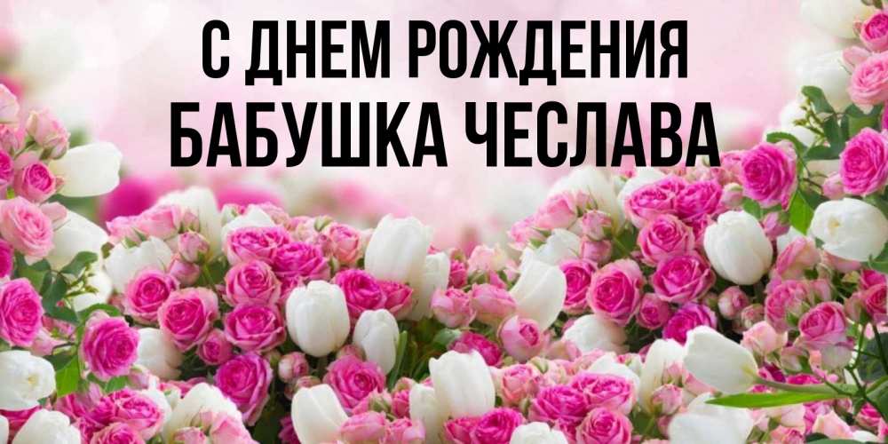 Открытка на каждый день с именем, Бабушка-Чеслава С днем рождения открытка с разными розами Прикольная открытка с пожеланием онлайн скачать бесплатно 