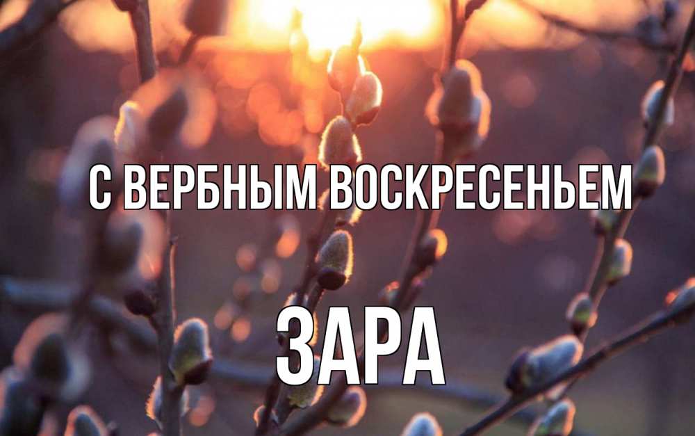 Открытка на каждый день с именем, Зара С вербным воскресеньем верба Прикольная открытка с пожеланием онлайн скачать бесплатно 