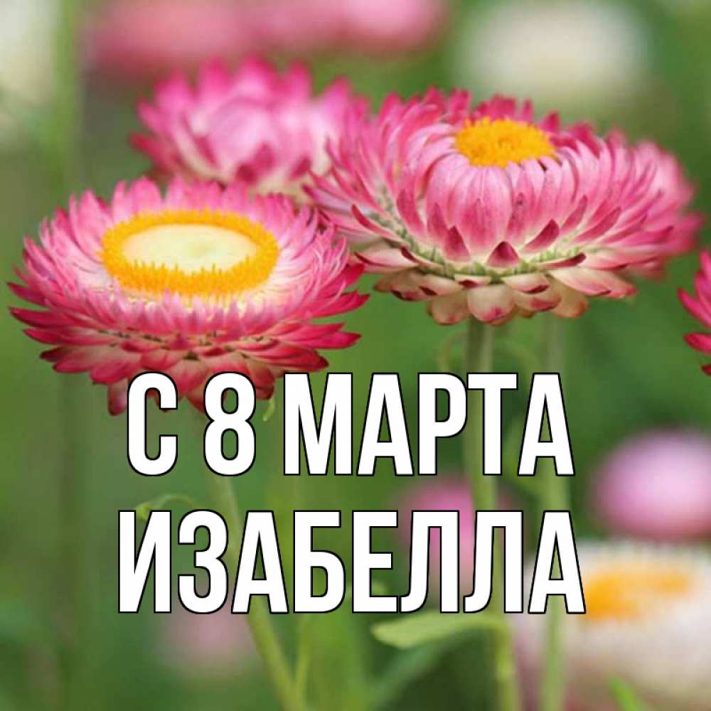 Открытка на каждый день с именем, Изабелла С 8 МАРТА подарок на международный женский день Прикольная открытка с пожеланием онлайн скачать бесплатно 