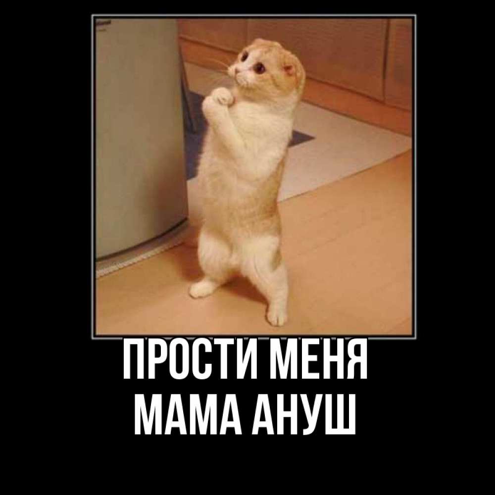 Открытка на каждый день с именем, Мама-Ануш Прости меня открытка с милым несчастным котиком просящим прощения Прикольная открытка с пожеланием онлайн скачать бесплатно 