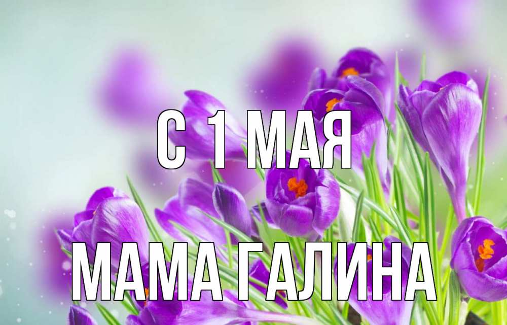 Открытка на каждый день с именем, Мама-Галина С 1 мая 1 мая Прикольная открытка с пожеланием онлайн скачать бесплатно 