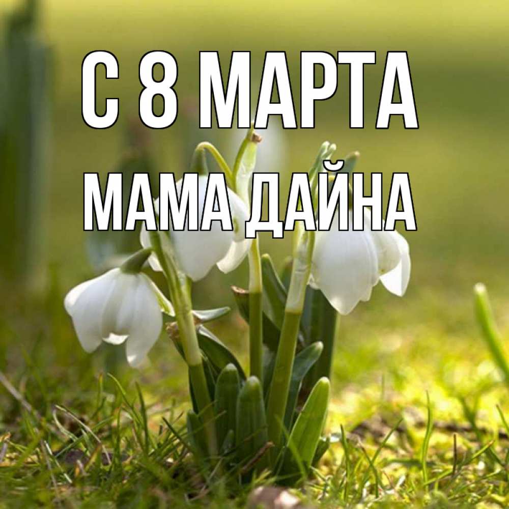 Открытка на каждый день с именем, Мама-Дайна С 8 МАРТА ранние цветы 2 Прикольная открытка с пожеланием онлайн скачать бесплатно 