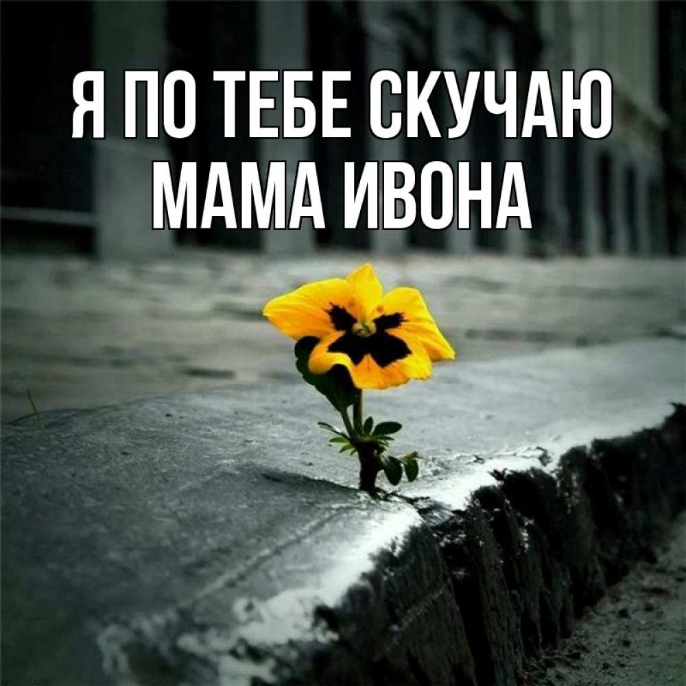 Открытка на каждый день с именем, Мама-Ивона Я по тебе скучаю надеюсь будет лучше Прикольная открытка с пожеланием онлайн скачать бесплатно 