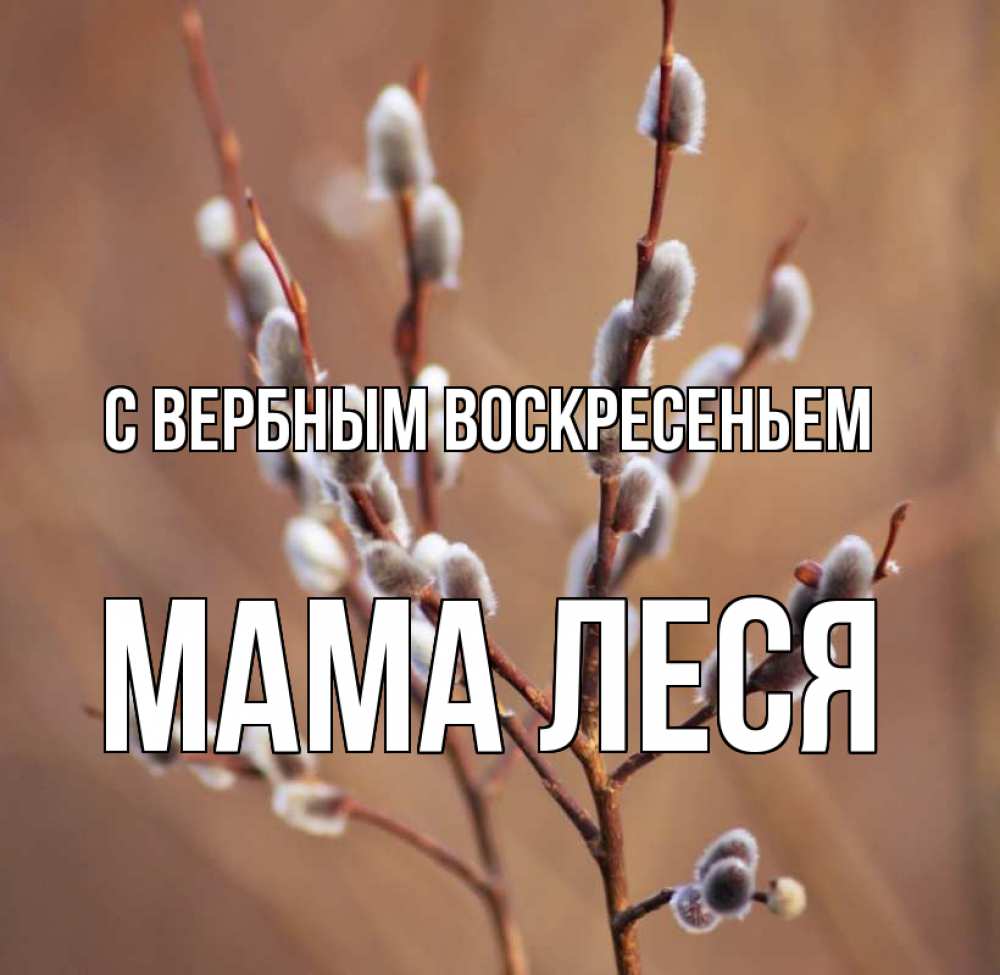 Открытка на каждый день с именем, Мама-Леся С вербным воскресеньем верба Прикольная открытка с пожеланием онлайн скачать бесплатно 