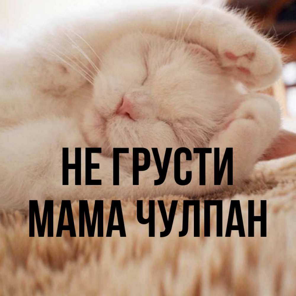 Открытка на каждый день с именем, Мама-Чулпан Не грусти Котенок спит Прикольная открытка с пожеланием онлайн скачать бесплатно 
