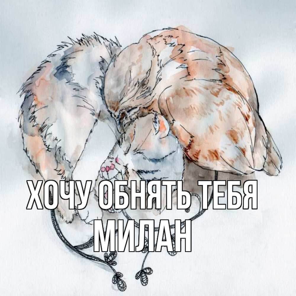 Открытка на каждый день с именем, Милан Хочу обнять тебя можно быть вместе даже когда очень разные Прикольная открытка с пожеланием онлайн скачать бесплатно 