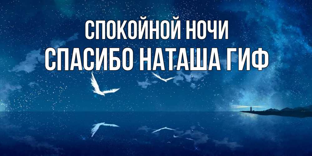 Открытка на каждый день с именем, СПАСИБО-НАТАША-ГИФ Спокойной ночи птицы летят на фоне ночного неба Прикольная открытка с пожеланием онлайн скачать бесплатно 