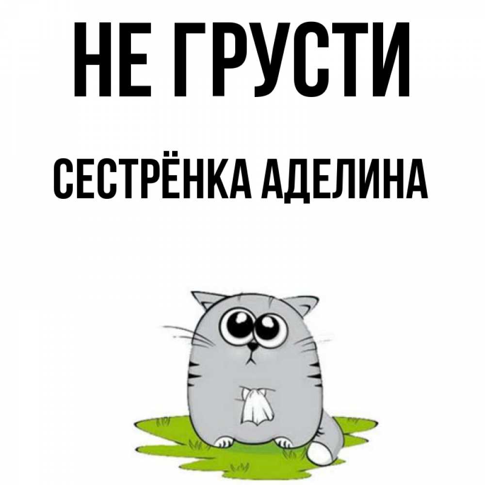 Открытка на каждый день с именем, Сестрёнка-Аделина Не грусти грустный котяра Прикольная открытка с пожеланием онлайн скачать бесплатно 