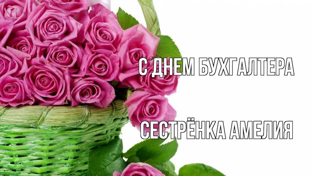Открытка на каждый день с именем, Сестрёнка-Амелия С днем бухгалтера с днем бухгалтера Прикольная открытка с пожеланием онлайн скачать бесплатно 