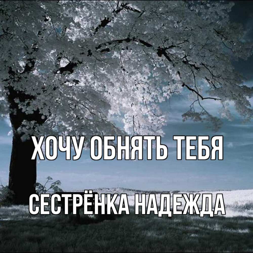 Открытка на каждый день с именем, Сестрёнка-Надежда Хочу обнять тебя дерево Прикольная открытка с пожеланием онлайн скачать бесплатно 
