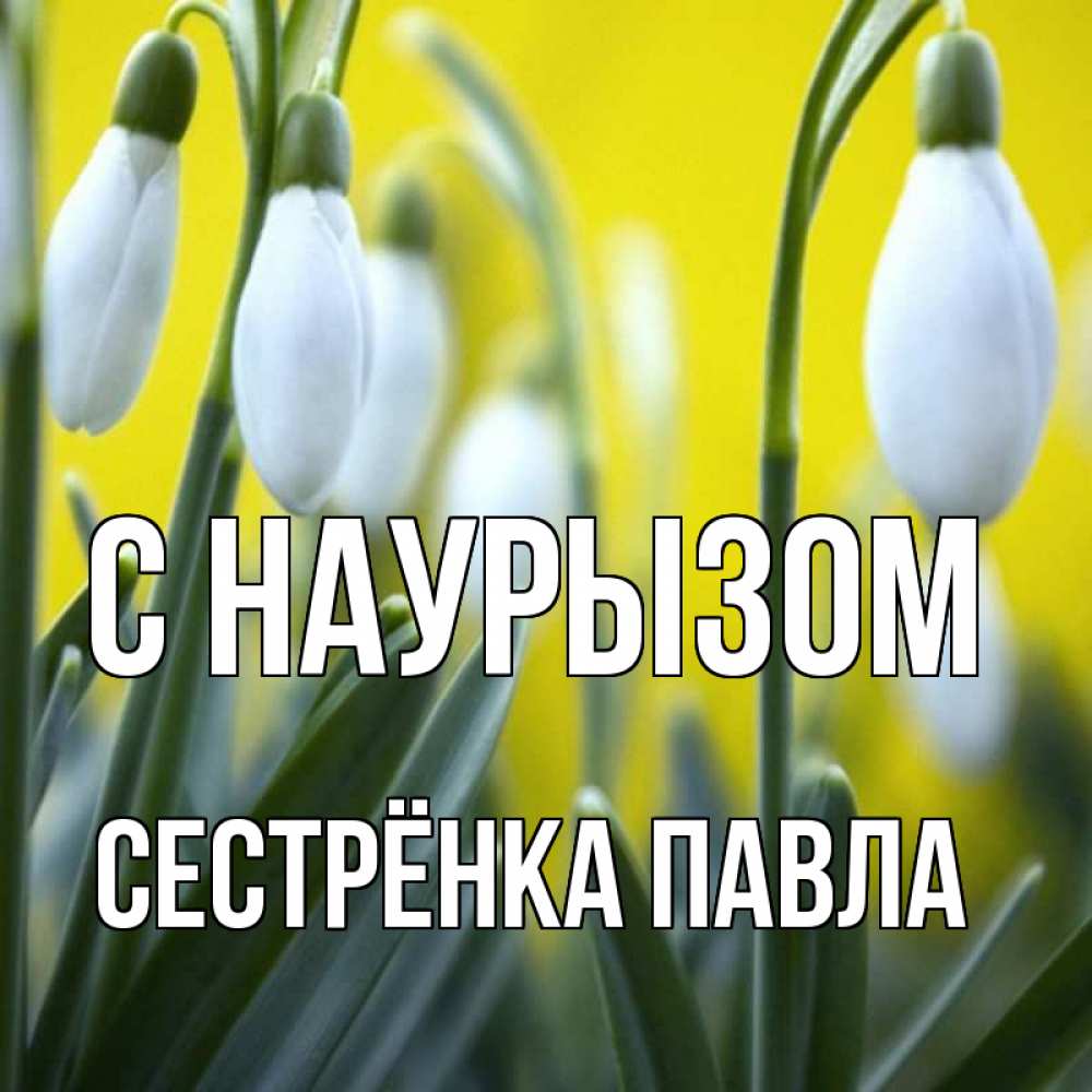 Открытка на каждый день с именем, Сестрёнка-Павла С наурызом весенние цветы Прикольная открытка с пожеланием онлайн скачать бесплатно 