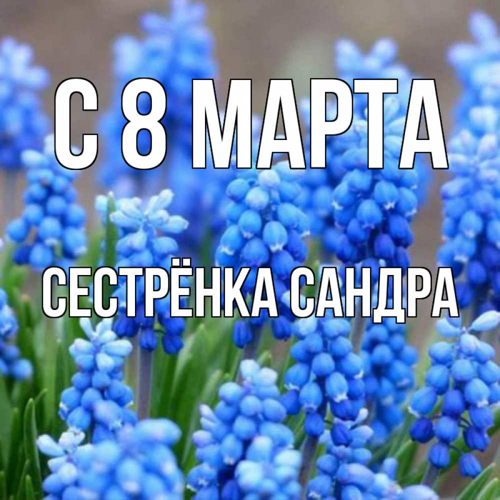 Открытка на каждый день с именем, Сестрёнка-Сандра С 8 МАРТА Поздравительная открытка для женщин с цветами на праздничную дату Прикольная открытка с пожеланием онлайн скачать бесплатно 