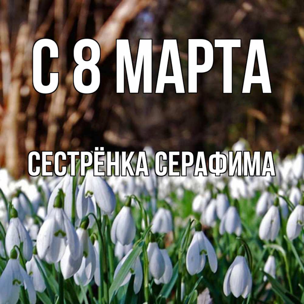 Открытка на каждый день с именем, Сестрёнка-Серафима С 8 МАРТА с подснежниками 1 Прикольная открытка с пожеланием онлайн скачать бесплатно 