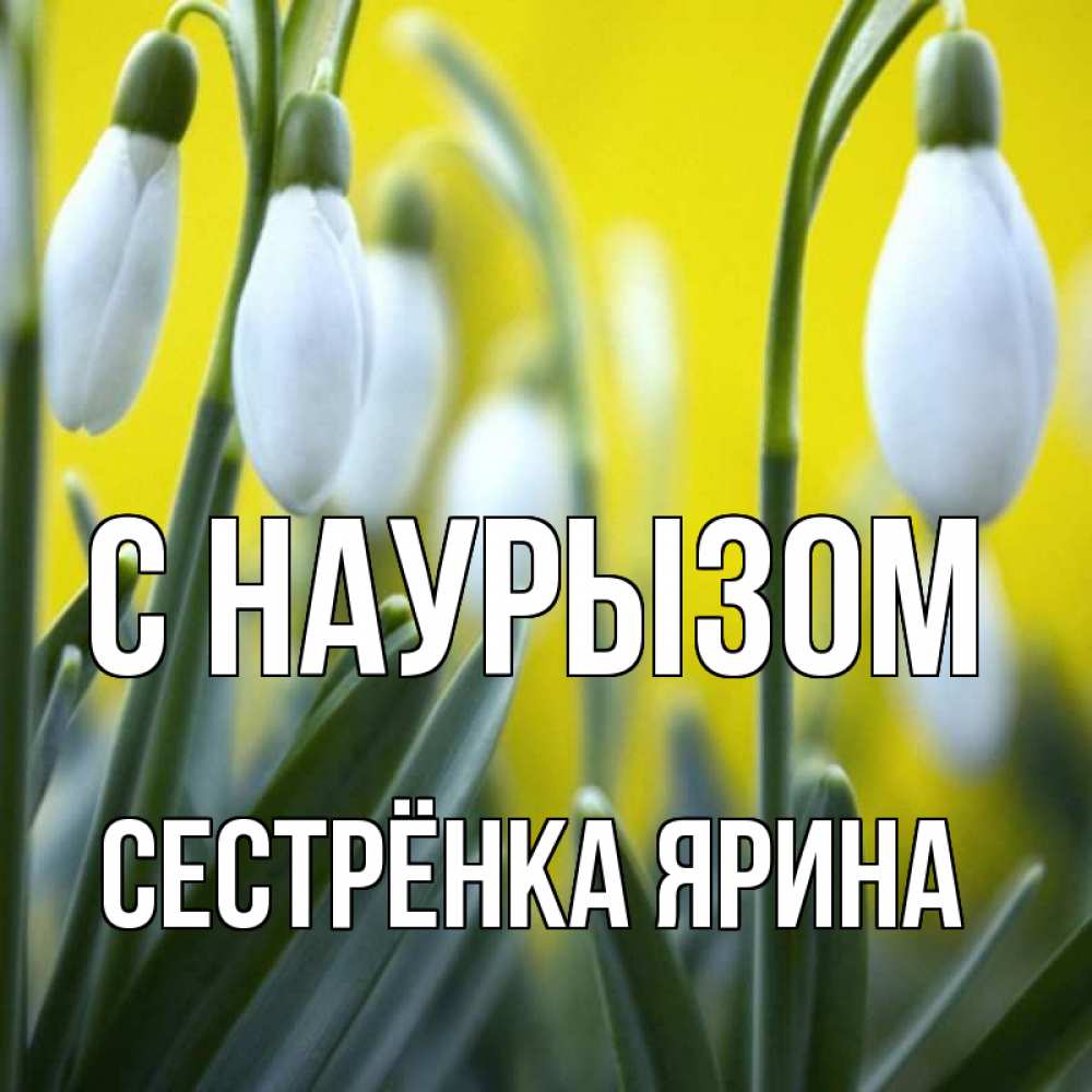 Открытка на каждый день с именем, Сестрёнка-Ярина С наурызом весенние цветы Прикольная открытка с пожеланием онлайн скачать бесплатно 