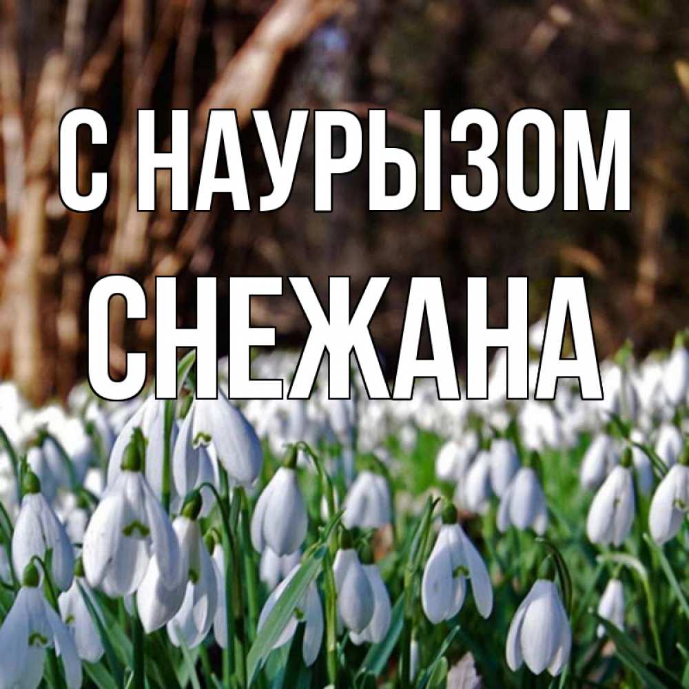 Открытка на каждый день с именем, Снежана С наурызом с подснежниками 1 Прикольная открытка с пожеланием онлайн скачать бесплатно 